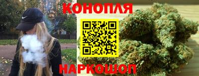 бошки Бийск