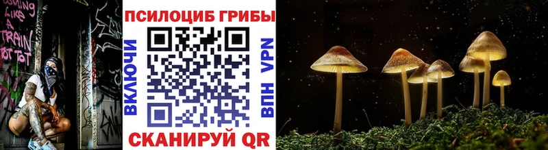 Псилоцибиновые грибы прущие грибы  KRAKEN ТОР  Нижнеудинск 