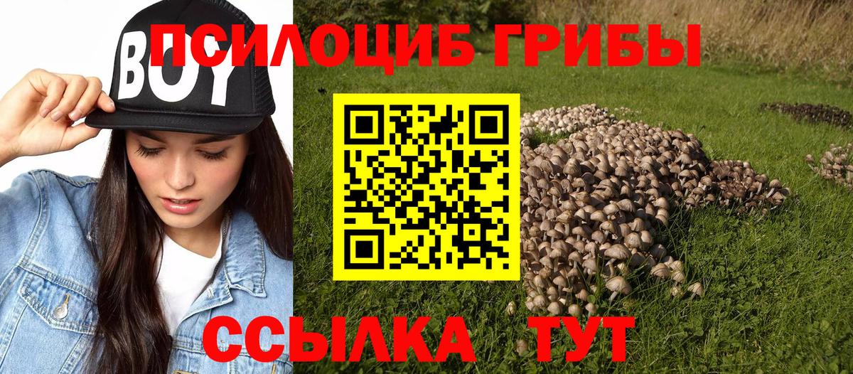 Псилоцибиновые грибы Psilocybine cubensis Нижнеудинск